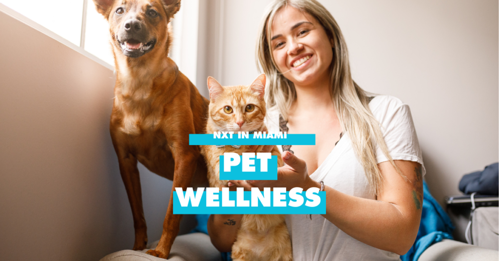 White person with long blonde hair holding a cat with a dog behind them